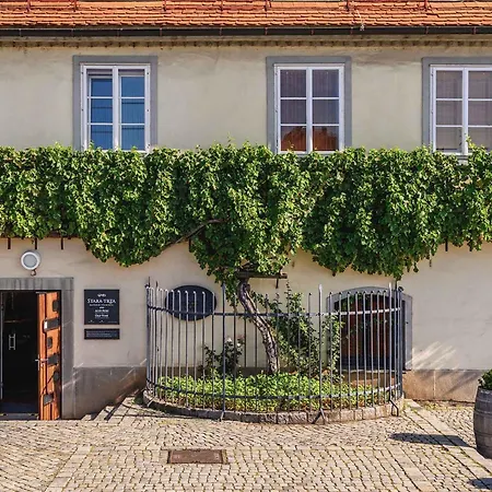 Kavenija Apartmaji - Free Parking Apartman *