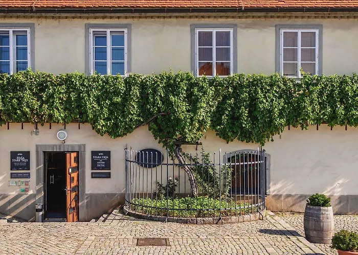 Kavenija Apartmaji - Free Parking Apartment *