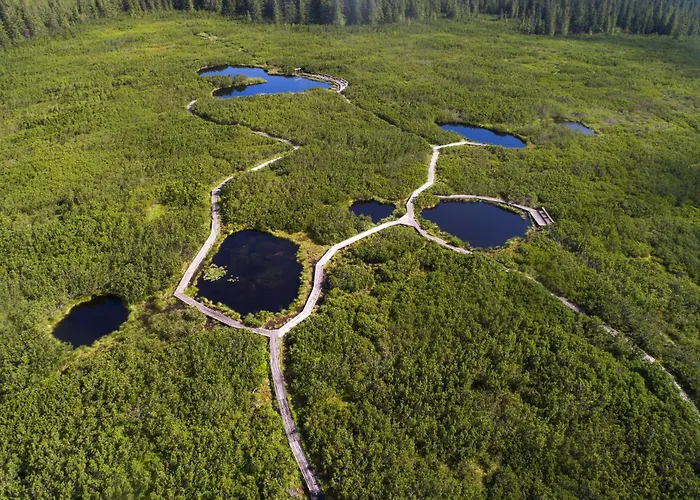 דירה Kavenija Apartmaji - Free Parking מריבור