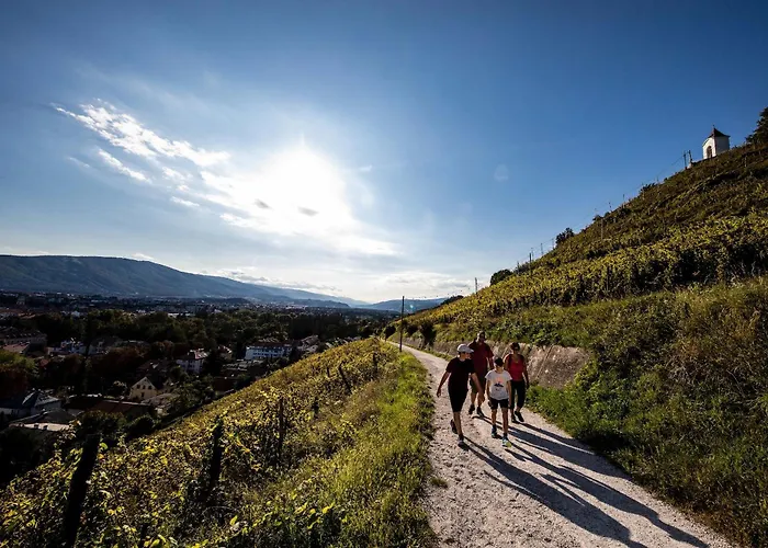 Kavenija Apartmaji - Free Parking *