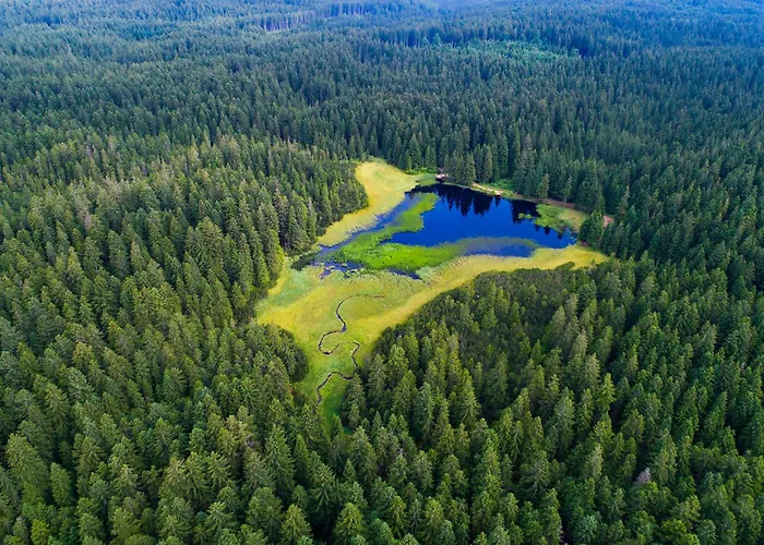 דירה Kavenija Apartmaji - Free Parking